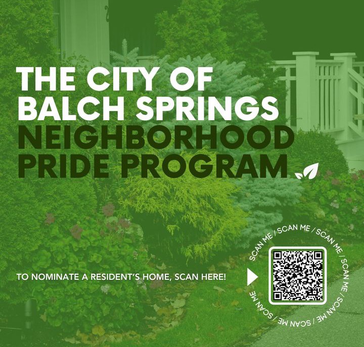 BalchSprings Chamber tweet media