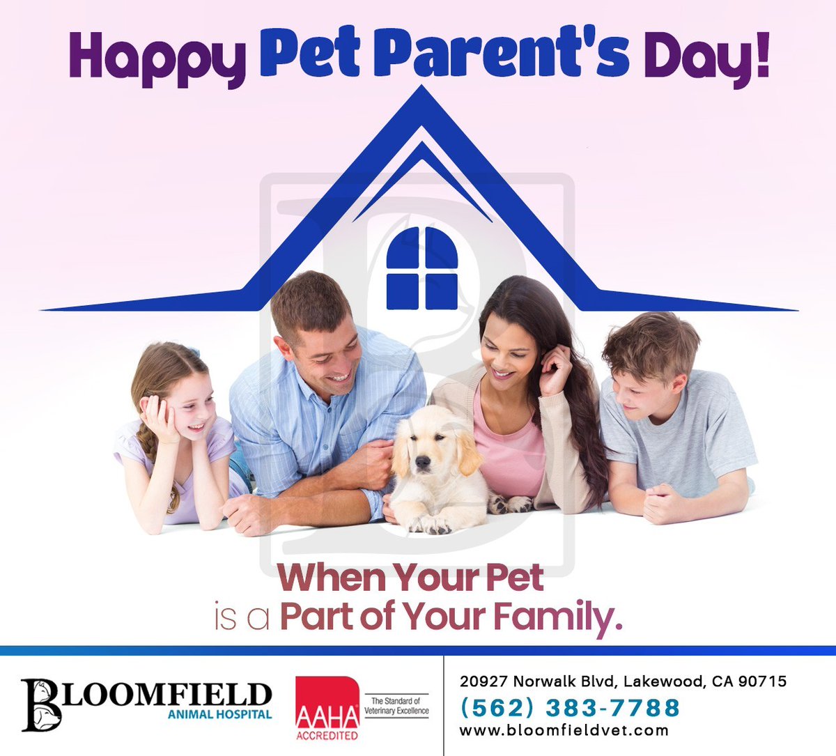 National Pet Parent's Day is dedicated to all responsible pet parents who have sacrificed and cared for their furry babies. If you are one, we salute your efforts and respect your bond with your pet. #petparentsday #bloomfieldanimalhosp #lakewood #CA