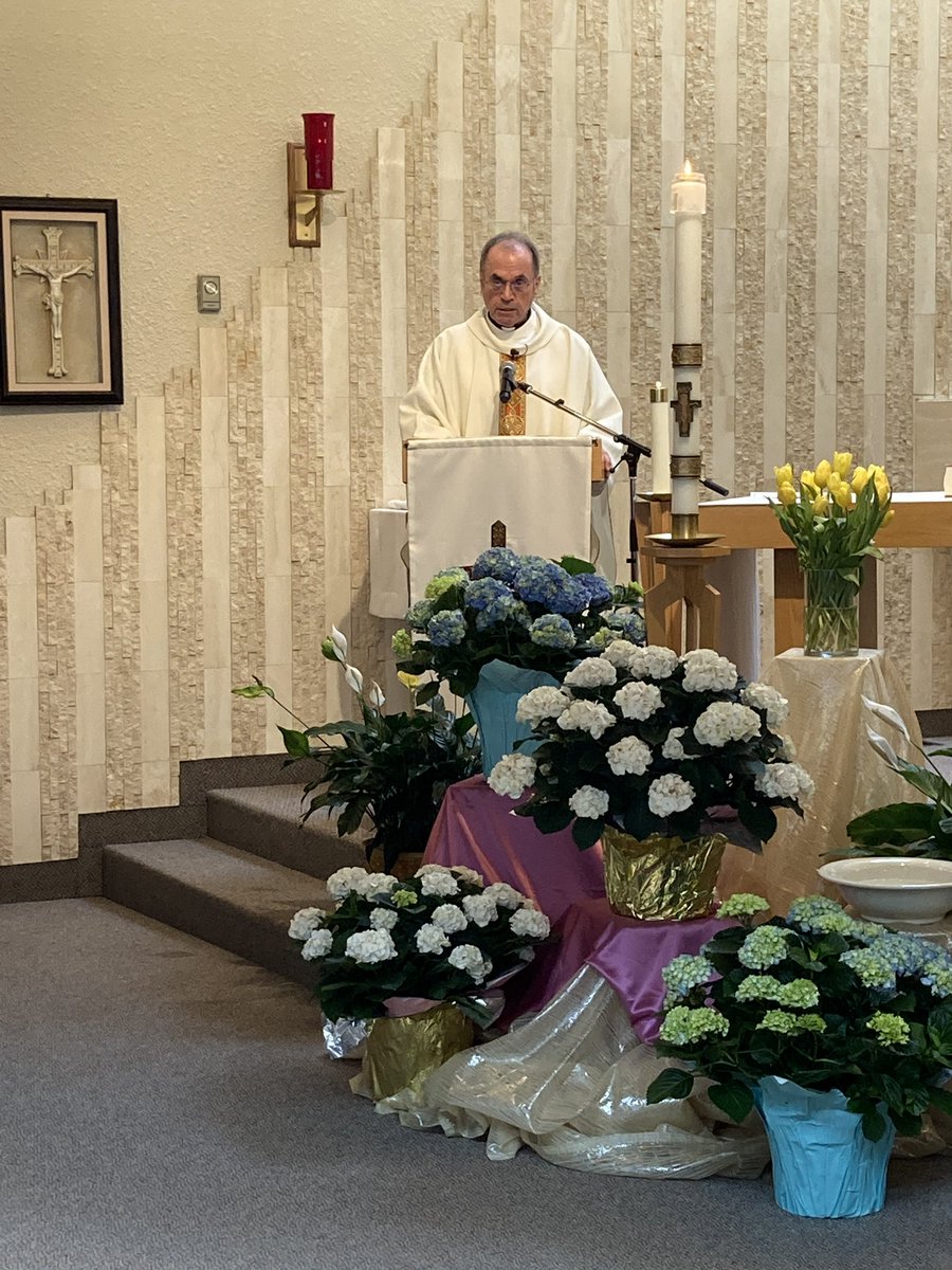 AFLToronto's tweet photo. Thank you Father Mike, St. Maria Goretti Catholic School and the TCDSB Nurturing our Catholic Community Team for the inspirational and moving mass to lead us into the Easter and spring season 😇 Always a pleasure.
#angelamongus https://t.co/DhCrbmPofw