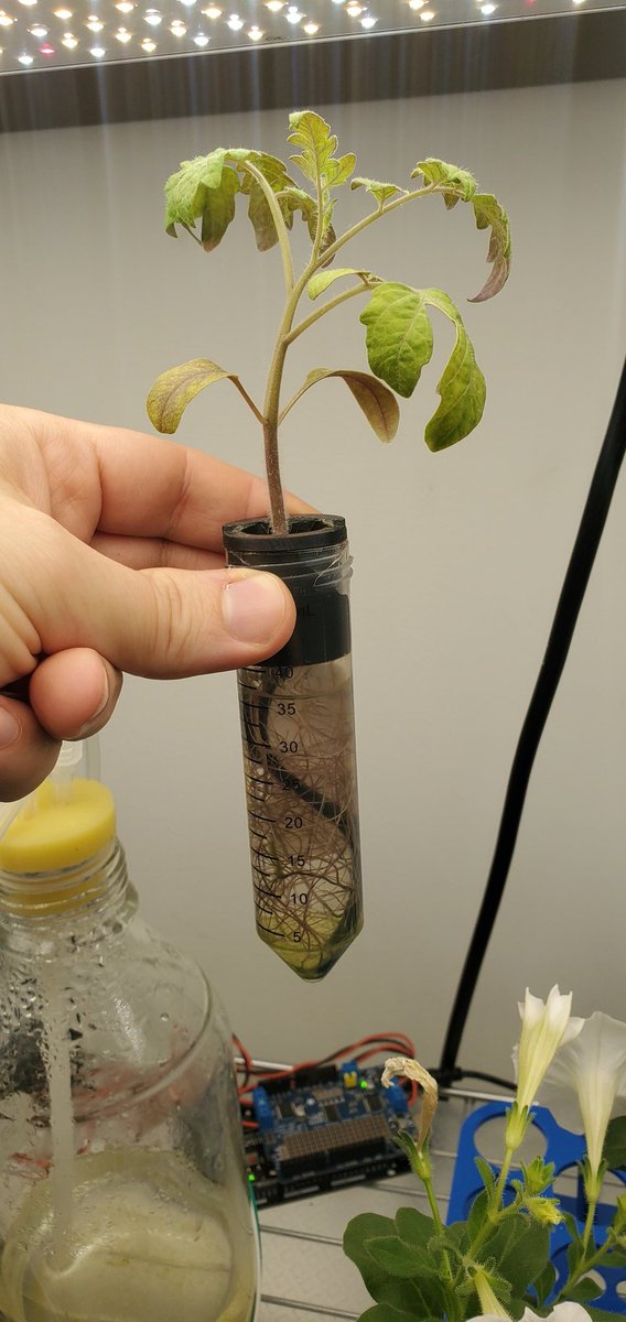 Sebastian S. Cocioba🪄🌷 tweet media