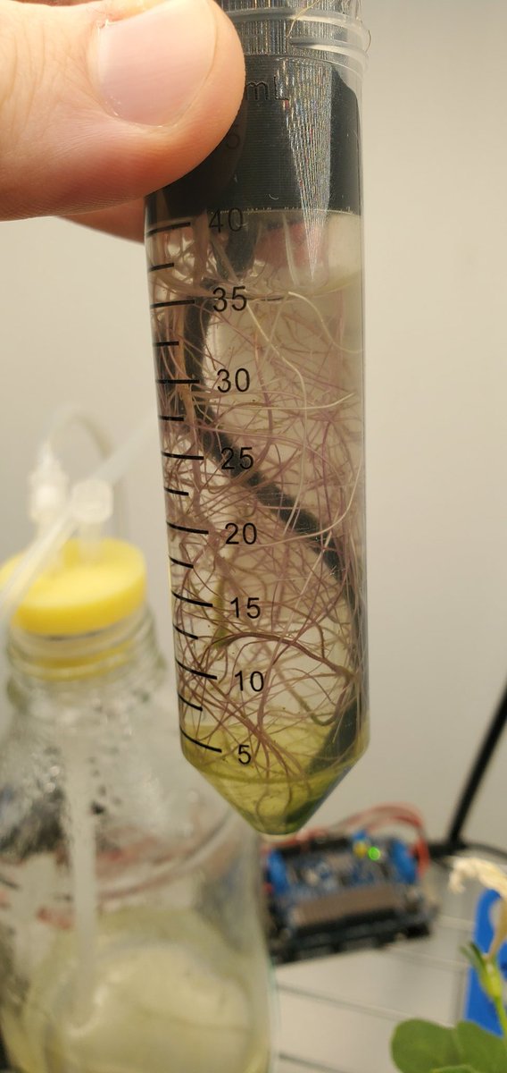 Sebastian S. Cocioba🪄🌷 tweet media