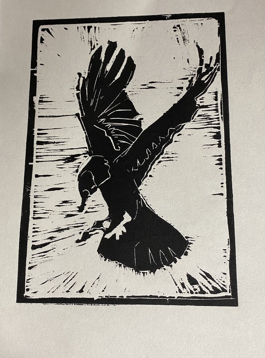 Jackdaw woodcuts