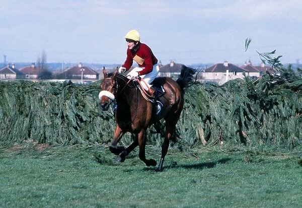 Danny Kelly tweet media