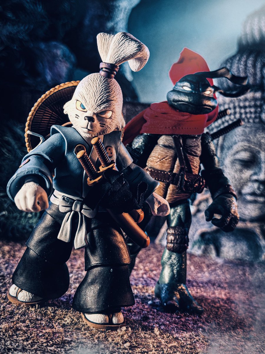 THE NIGHT ROAD

#TurtleTuesday #UsagiYojimbo #Leonardo #NECAToys #MezcoToyz #NECA #Mezco #TMNT #TeenageMutantNinjaTurtles #ACTIONFIGURES #ActionFigurePhotography #ToyPhotography 

@TMNT @mezcotoyz @NECA_TOYS