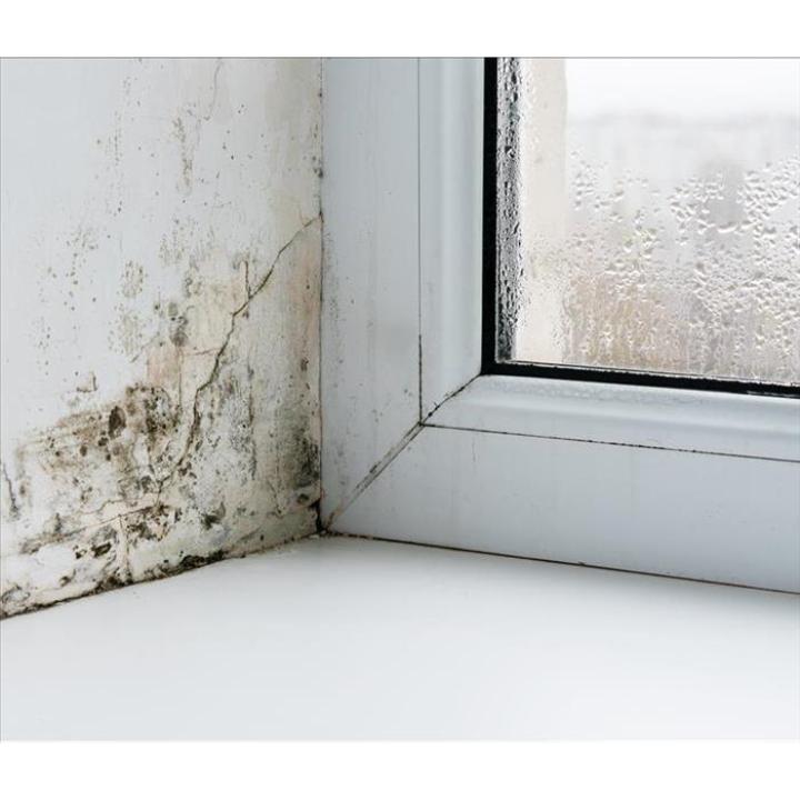 servproswsenwgr's tweet photo. Did you know mold keeps coming back because you're ignoring the source of moisture? Don't just treat the symptoms – learn how to tackle the root cause! https://t.co/eUDIN4Q5ky https://t.co/EfWnD9Rtuf