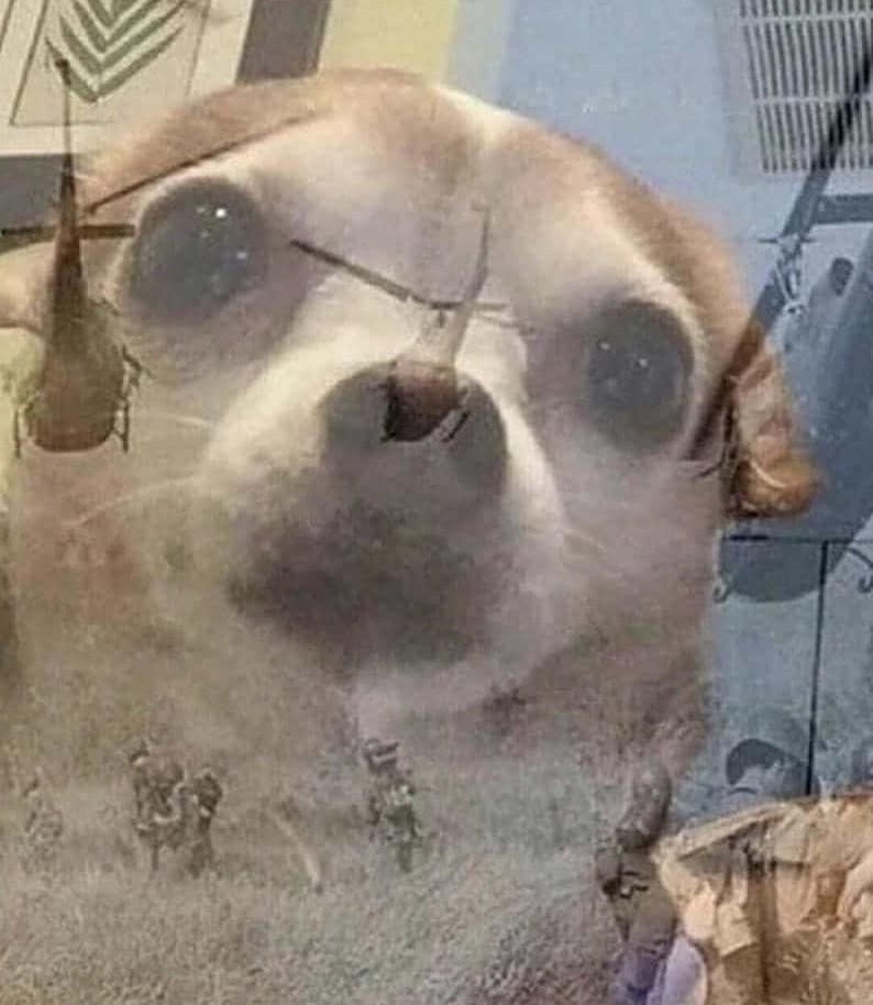 No supero que el poster oficial de Dune es igual a este meme.