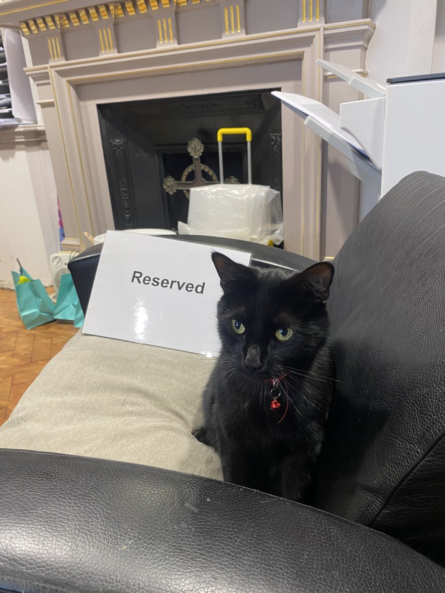 Despite our best efforts, we can't seem to make Eliza understand how reserved seating works! Visit our website if you want to book a (cat free) seat at any of our upcoming music and theatre events! #cat #ilovecats #fur #kitten #cutecatclub #bestcat #animalsofig #furs #whiskers