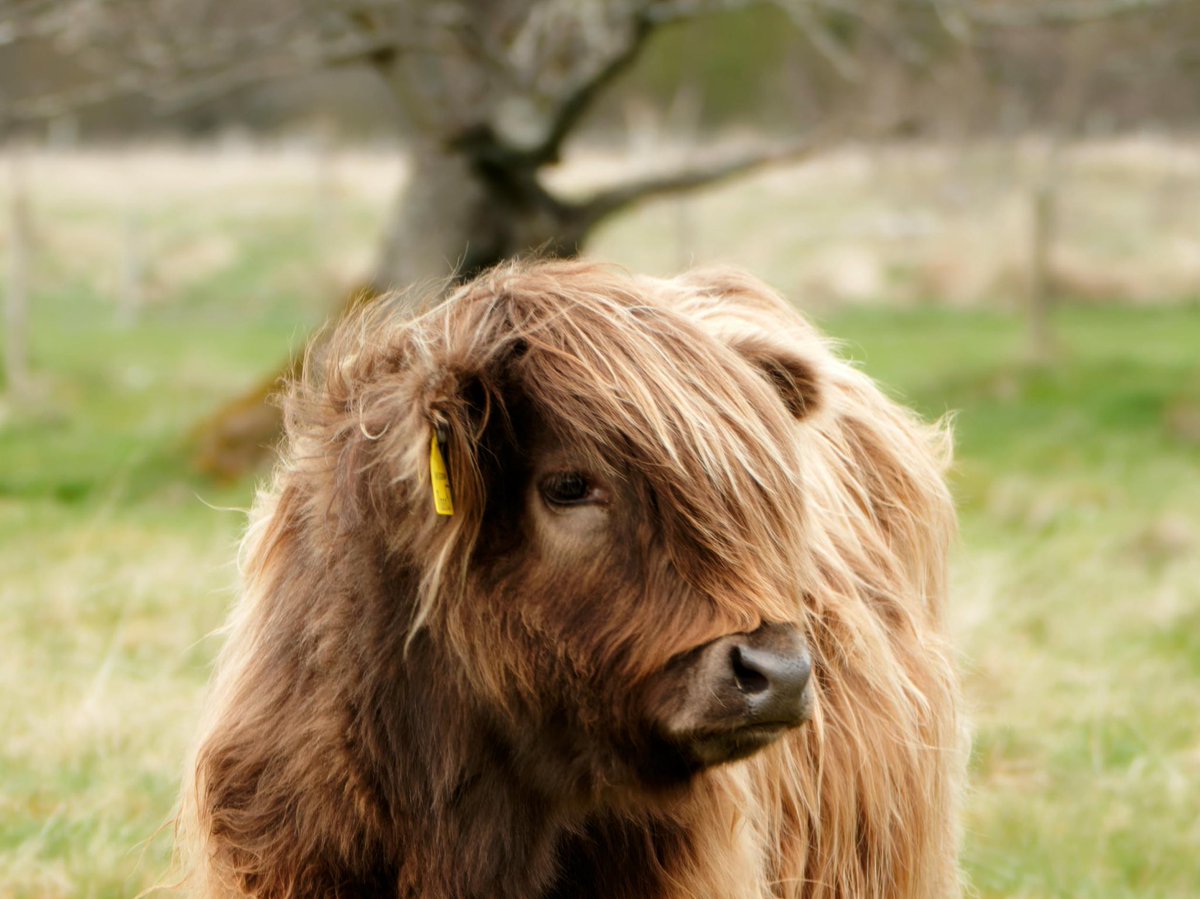 Happy #coosday! April is here and spring has definitely arrived. We’ve been busy making plans for how we can support you with your #rural business or enterprise over the next few months. We’ll be sharing some exciting events and activities soon.