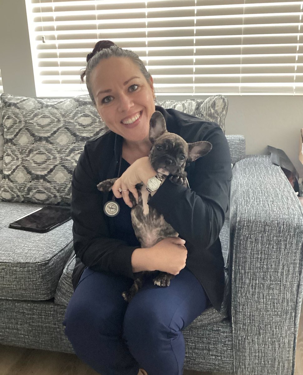 Stitch has joined our Total Wellness Membership! 🐶 He was all ears while going over all his preventative needs with Dr. Swisher.