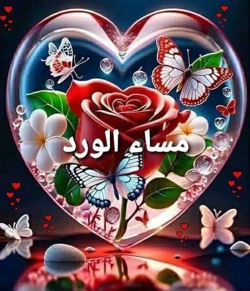 VsgzVsvs's tweet photo. @albdwyah_nawall ياهلا وغلا فيك يسعد مساك بافل والياسمين https://t.co/7is0gG5lfr