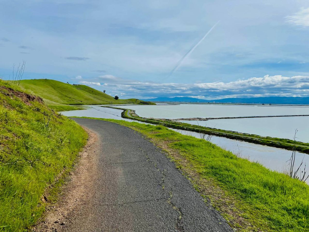 JourneyJes59425's tweet image. cornloft papilionaceous puppyism unattached