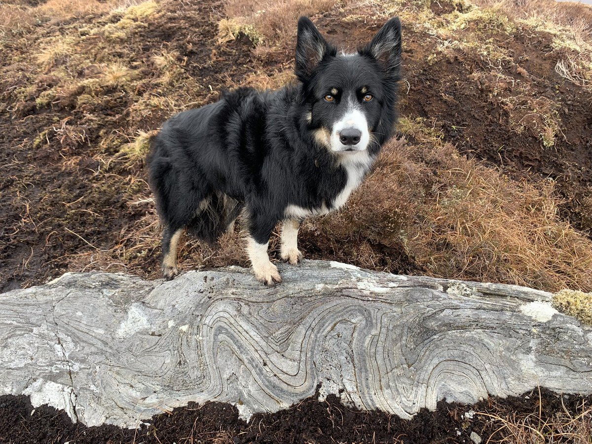 Ralph believes that any unusual geological feature will be enhanced by posing on it for a photo. 🐾