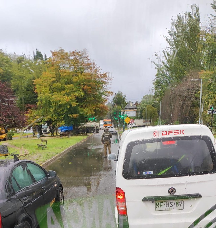 InfoBuses Valdivia tweet media