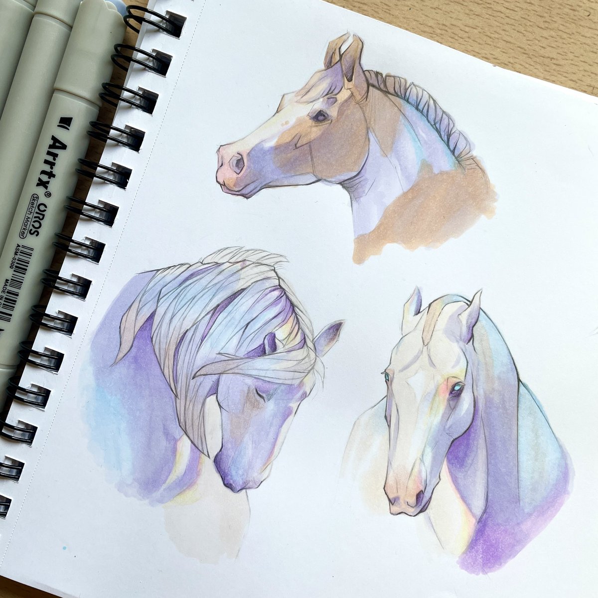 Horses studies ✨
