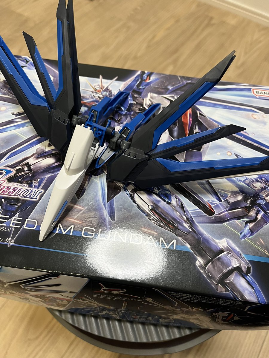 バッグパックでけた！
おやすみなさい！
#ガンプラ
#ライジングフリーダム