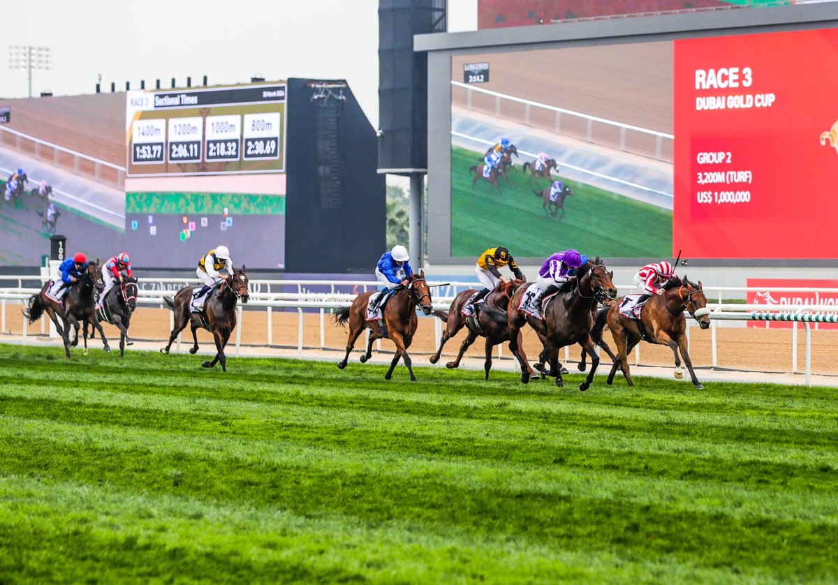 🥇🇸🇦 G3 @longines Red Sea Turf 🥇🇦🇪 G2 Dubai Gold Cup A successful Middle Eastern adventure this year for TOWER OF LONDON and @Ballydoyle! #TheSaudiCup 🤝 #DWC24