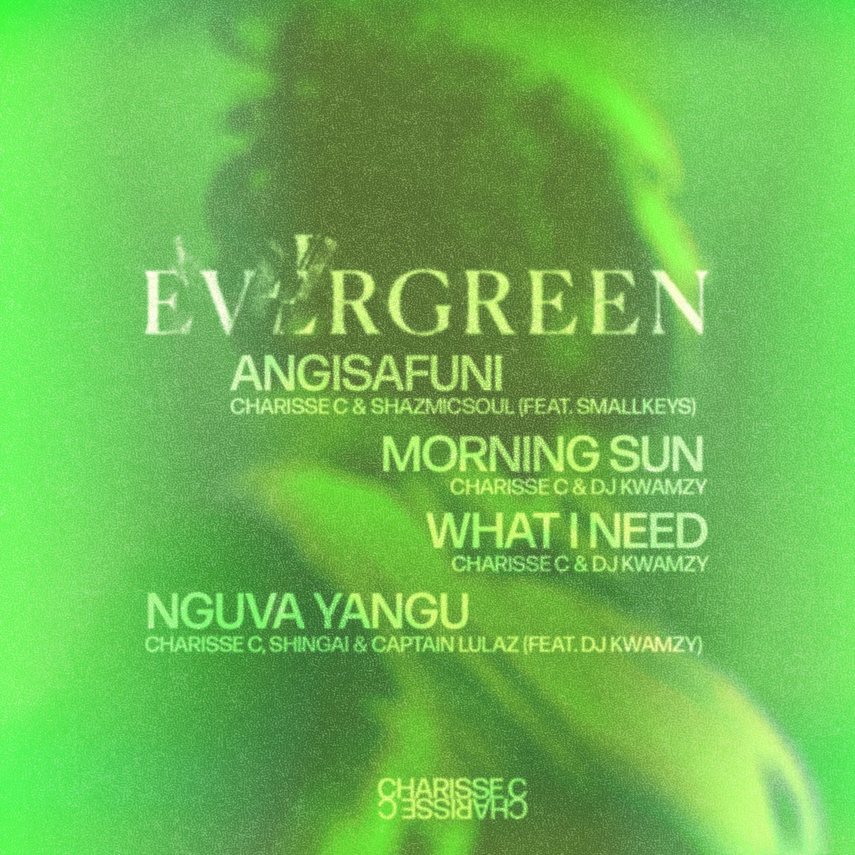 CharisseeC's tweet photo. EVERGREEN.
The Tracklist.
Out April 5th 💚🧚🏾
@kwxmzy @shazmicsoul @ShingaiMusic #captainlulaz #smallkeys
Pre-add: https://t.co/HLhWta78wz https://t.co/ksJgs0lHRD