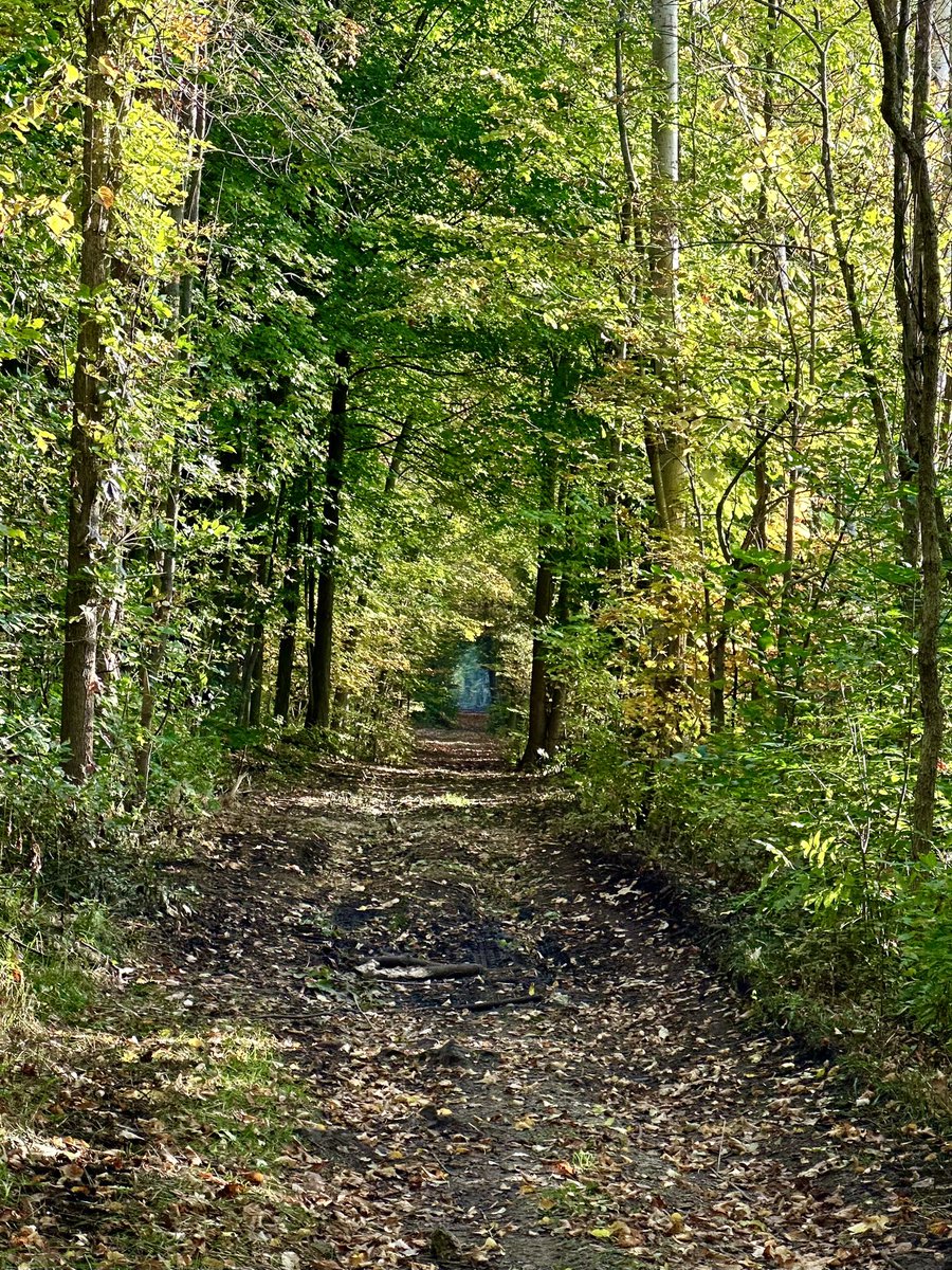 MandyLSimard's tweet image. Today’s daily picture theme is paths.
#DailyPictureTheme