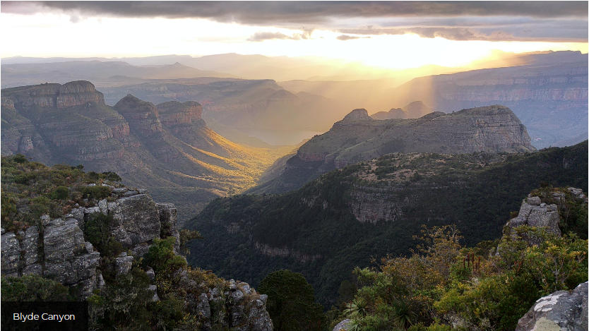 Some good news from South Africa! 'South African Biodiversity Investment Portal has secured its first investments to promote biodiversity conservation and community well-being'. These sites will pilot some ideas around biodiversity credits. biofin.org/news-and-media…