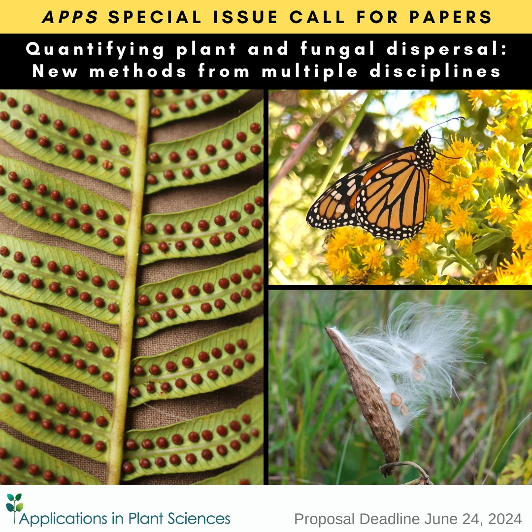 🌱Special Issue Call for Papers🌱 #AppsPlantSci invites submissions for 'Quantifying plant and fungal dispersal: New methods from multiple disciplines' led by @noellebeckman Sally Chambers @Irene_Cobo & @ll_sullivan botany.org/home/publicati… @wileyplantsci @iamabotanist #botany