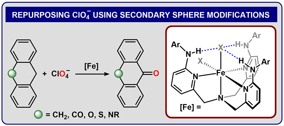 2nd sphere-promoted deoxygenation! Check out our recent @J_A_C_S  paper showing a new use for perchlorate: C–H oxygenation! Great job Writhabrata, Andrew, and Jessi! @MichiganChem #Hbonds #2ndsphere4life  pubs.acs.org/doi/full/10.10…