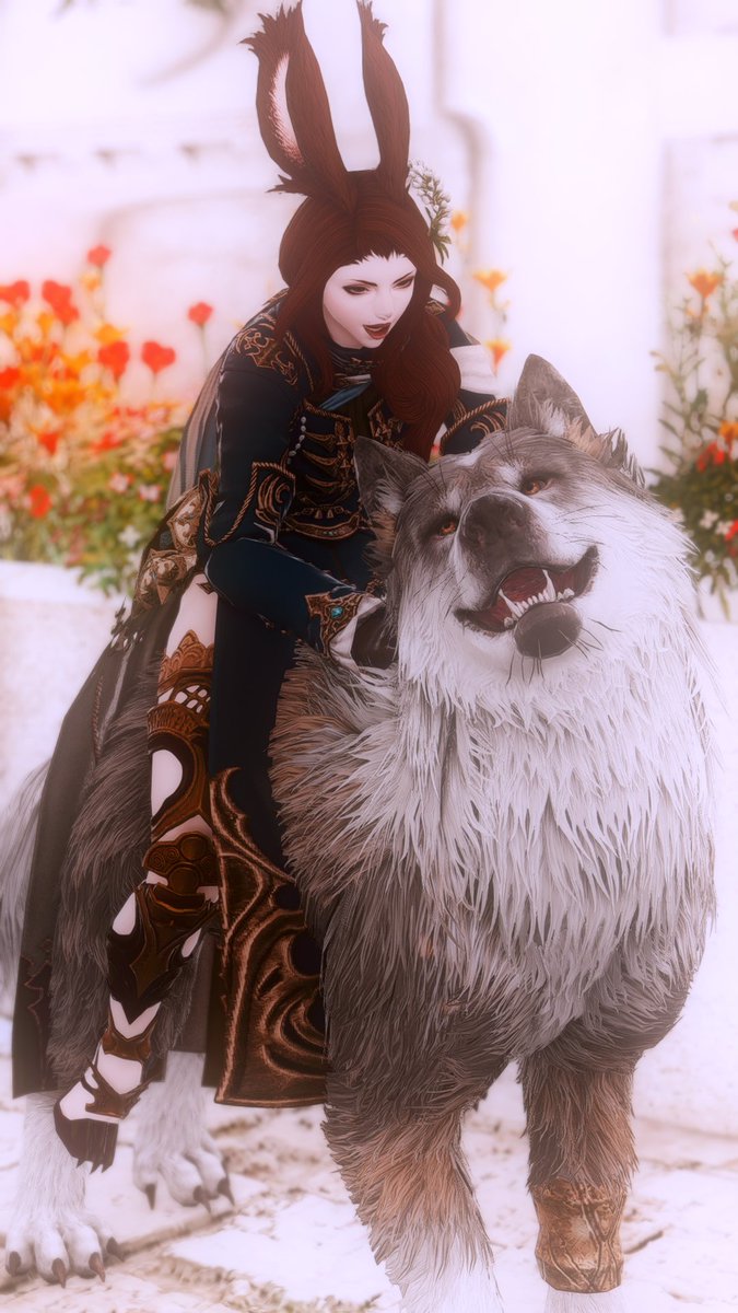 Babbellin's tweet photo. Look at the good boy! 🥹

#FFXIV #FFXIVScreenshots #FF14 https://t.co/lDTUcsbORm
