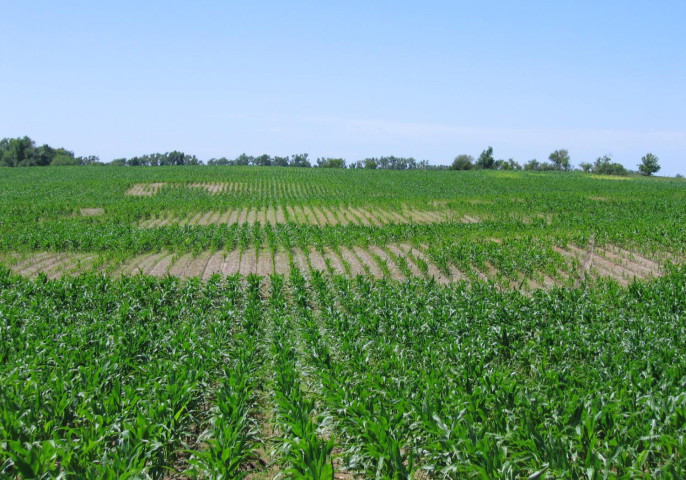 Crop Protection Network tweet media