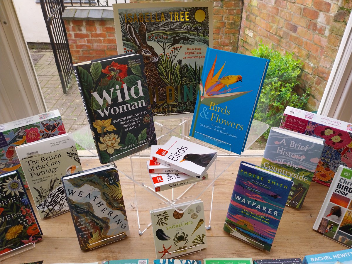 It's always great to see your own book prominently displayed in a real bookshop! @pelagicpublish @QuinnsBookshop #birds #botany #plants #pollinators #ornithology #zoology