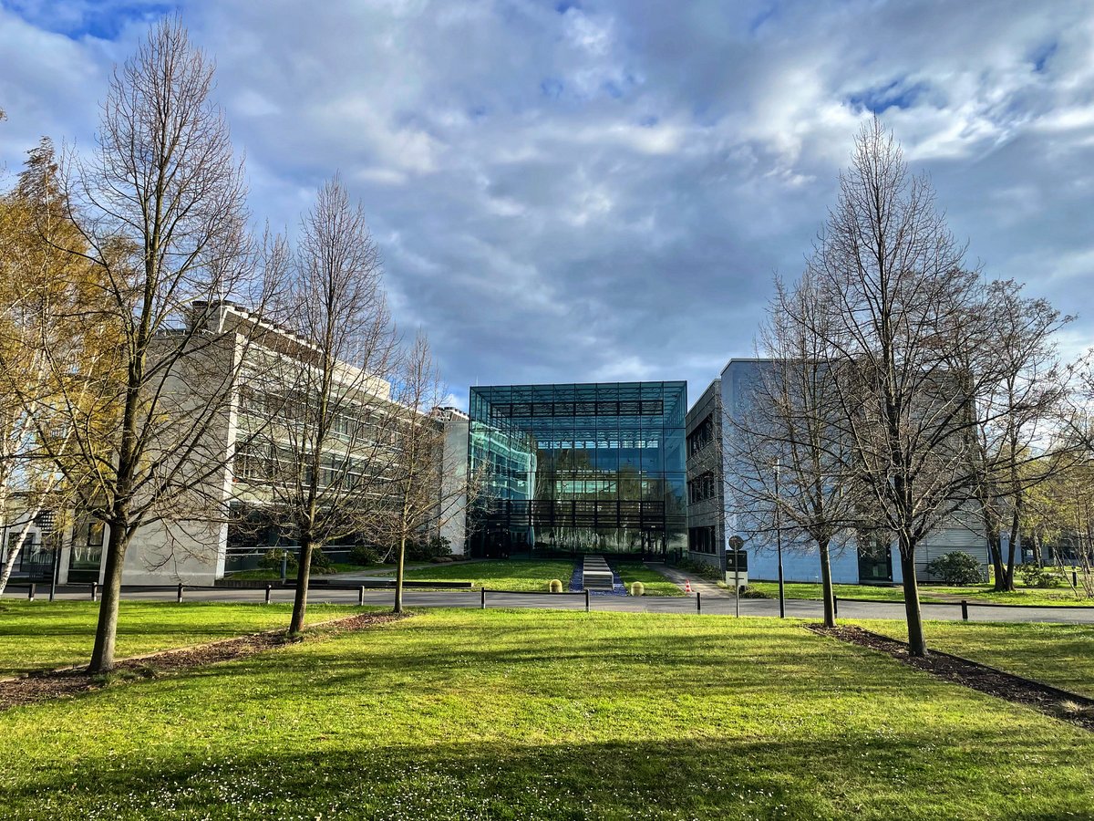jp_mrtnz's tweet photo. I just joined the Max Planck Institute for gravitational physics (Albert Einstein Institute) to start a project on the history of the two-body problem in general relativity! Lots of new challenges to come! https://t.co/wbzQCwzak6