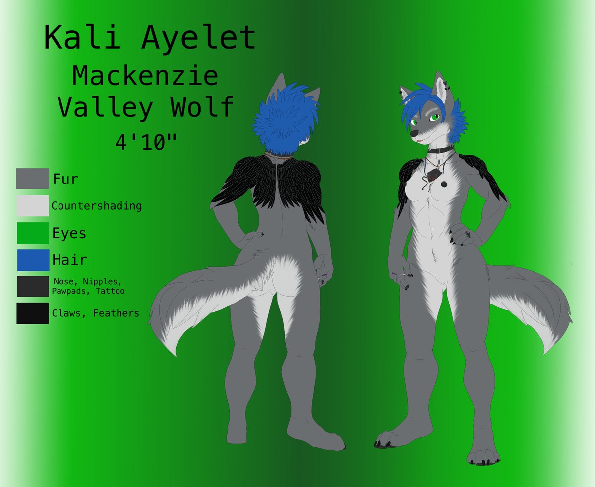 WolfCatDragon's tweet photo. My first real commission, a reference sheet for Kali on Tapestries. Took a while because of all the details. This one is definitely better viewed big. https://t.co/87vV7NDyVx