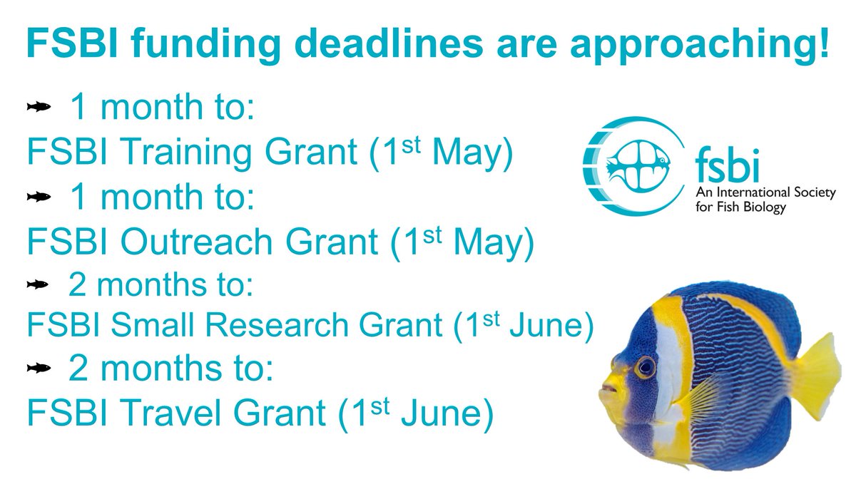 There are a bunch of FSBI grant deadlines rapidly approaching! You can find out more information about these opportunities on our website: fsbi.org.uk. FSBI members can apply now via their my.fsbi portal.