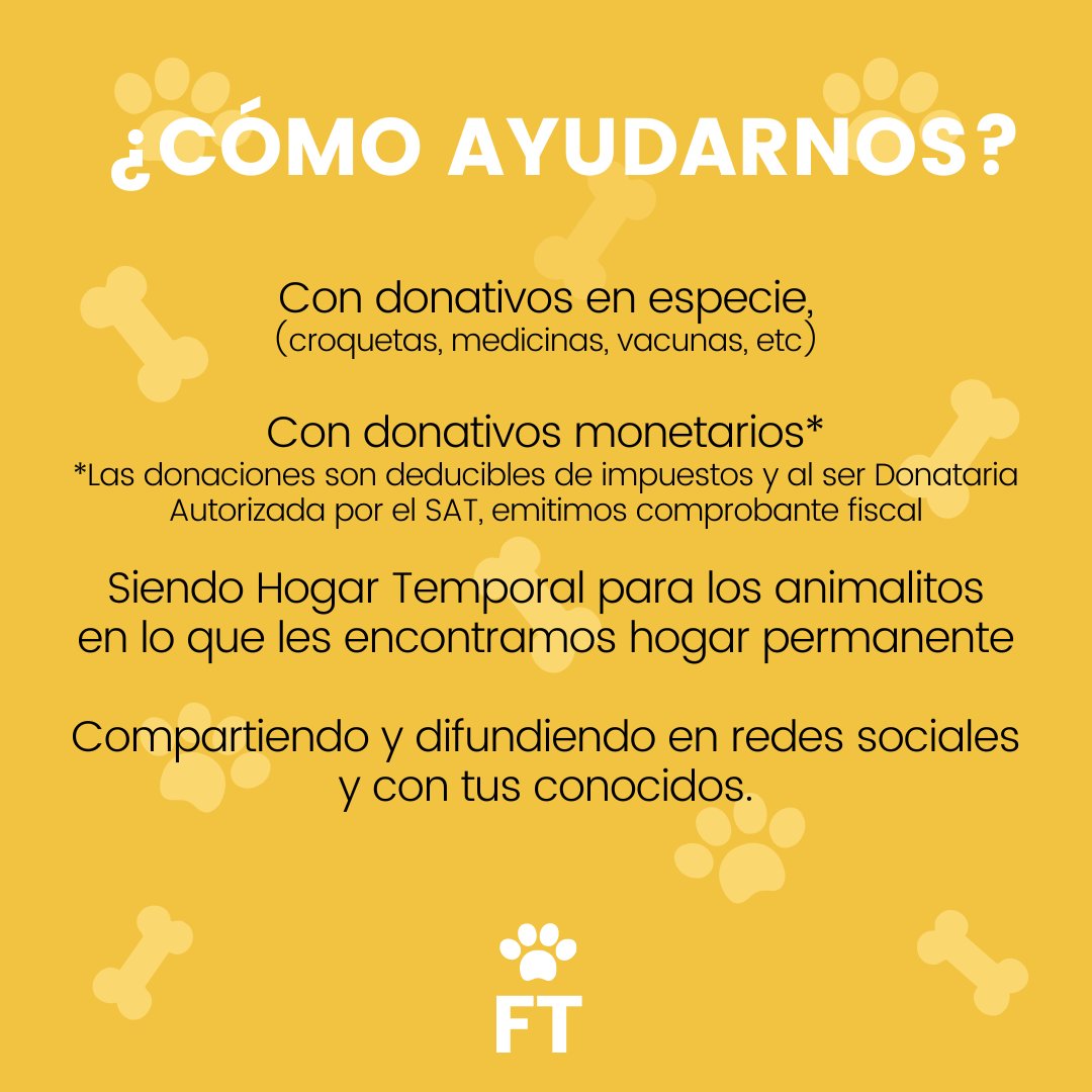camila_galvez's tweet photo. Necesitamos ayuda por favoooorr 🙏😫🆘
También somos donataria autorizada por el SAT así que no sólo pueden deducir impuestos, pueden salvarle la vida a varios animalitos 🙏 https://t.co/TNb4WaAZqd