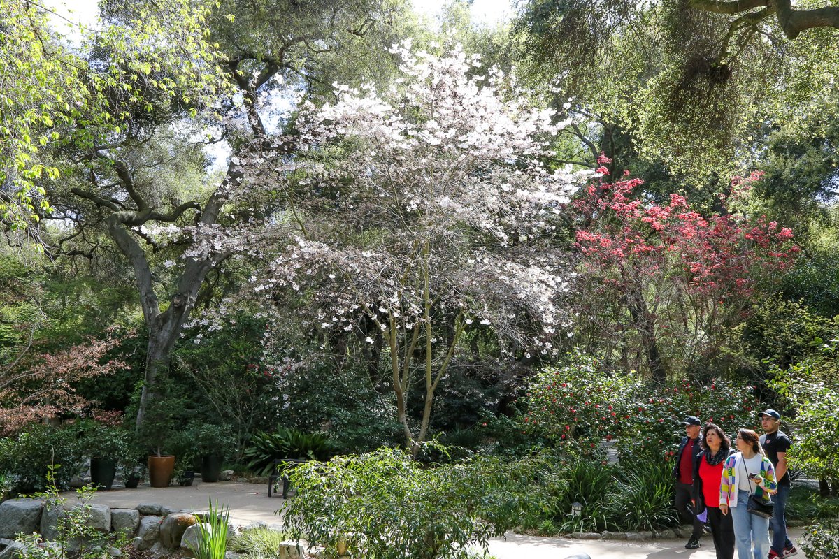 DescansoGardens tweet picture