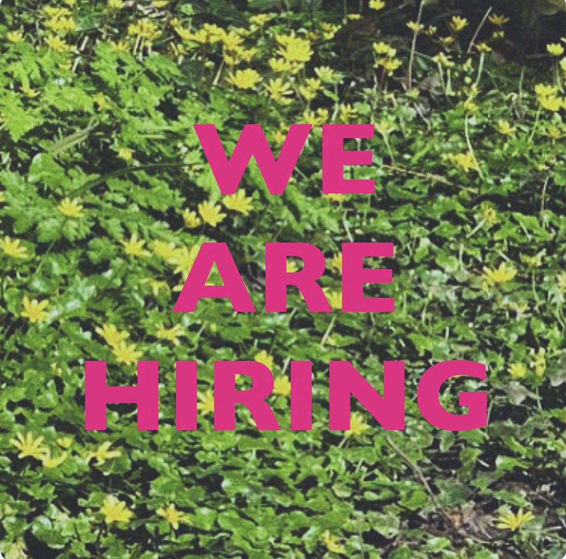 We’re looking for a new Visitor Services and Site Manager. Closing date for applications, Thursday 2 May.
 
If you’re looking to help look after this special place, as well as all those who appreciate and engage with it, then email info@severndroogcastle.org.uk for the JD.