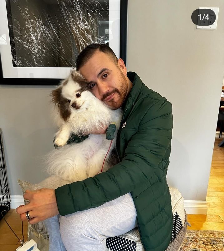 Graphdinner111's tweet image. @Graphdinner111