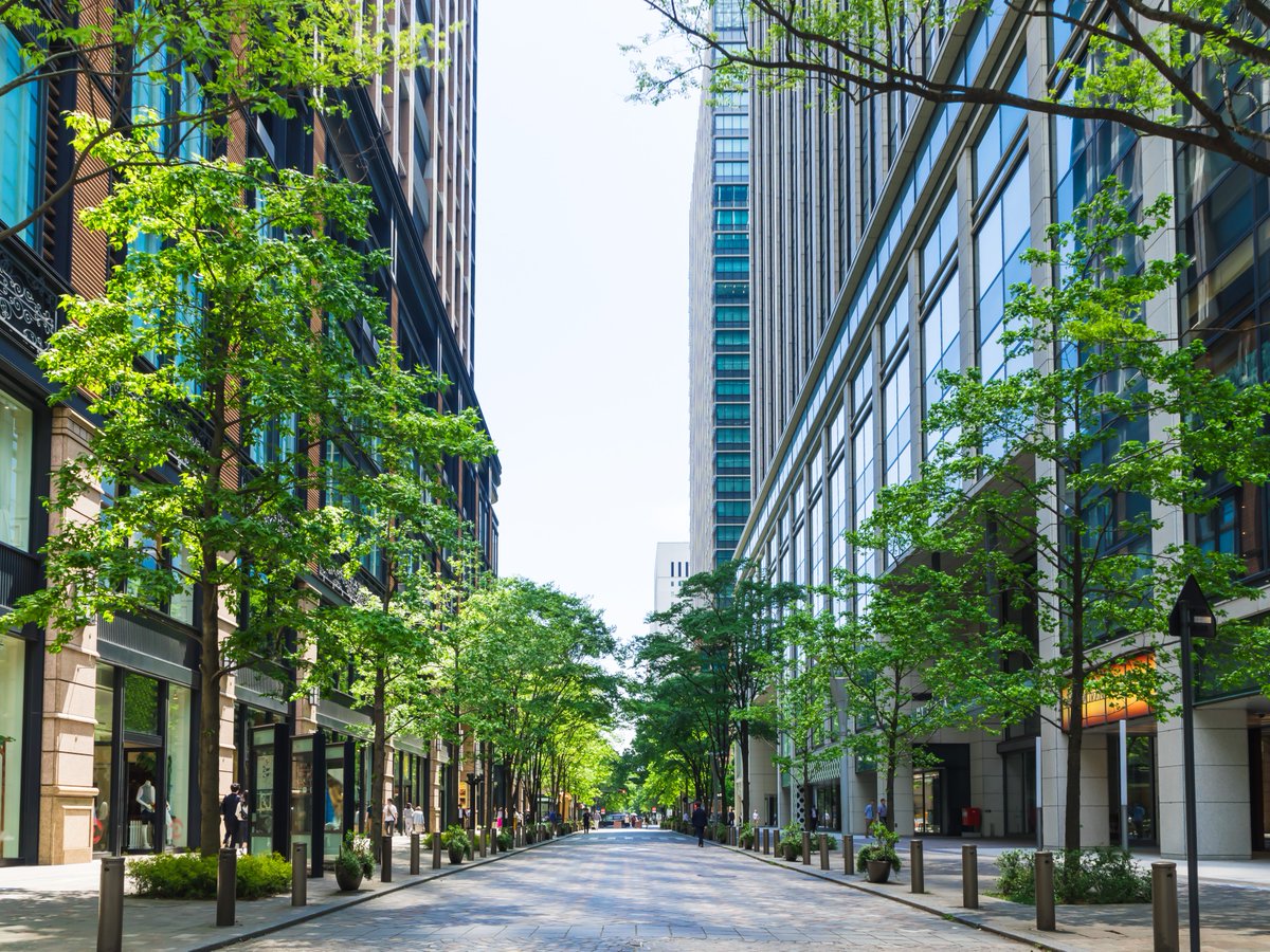 What street would you rather walk down? 👀 The benefits are endless of street trees: 🚗 Safer roads ☀️ Cooler temps 🌳 Cleaner air 🚶 Improved health 💦 Flood protection 🥁 Noise buffer 🏡 Increased property value