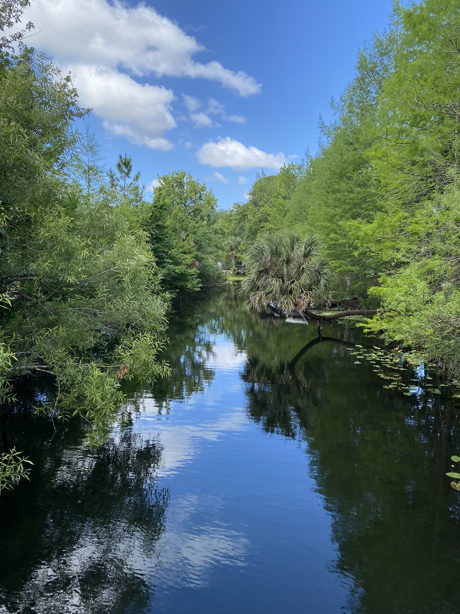 Ready to get lost in the magic of Wekiva? ⭐ #WekivaIsland #CentralFlorida