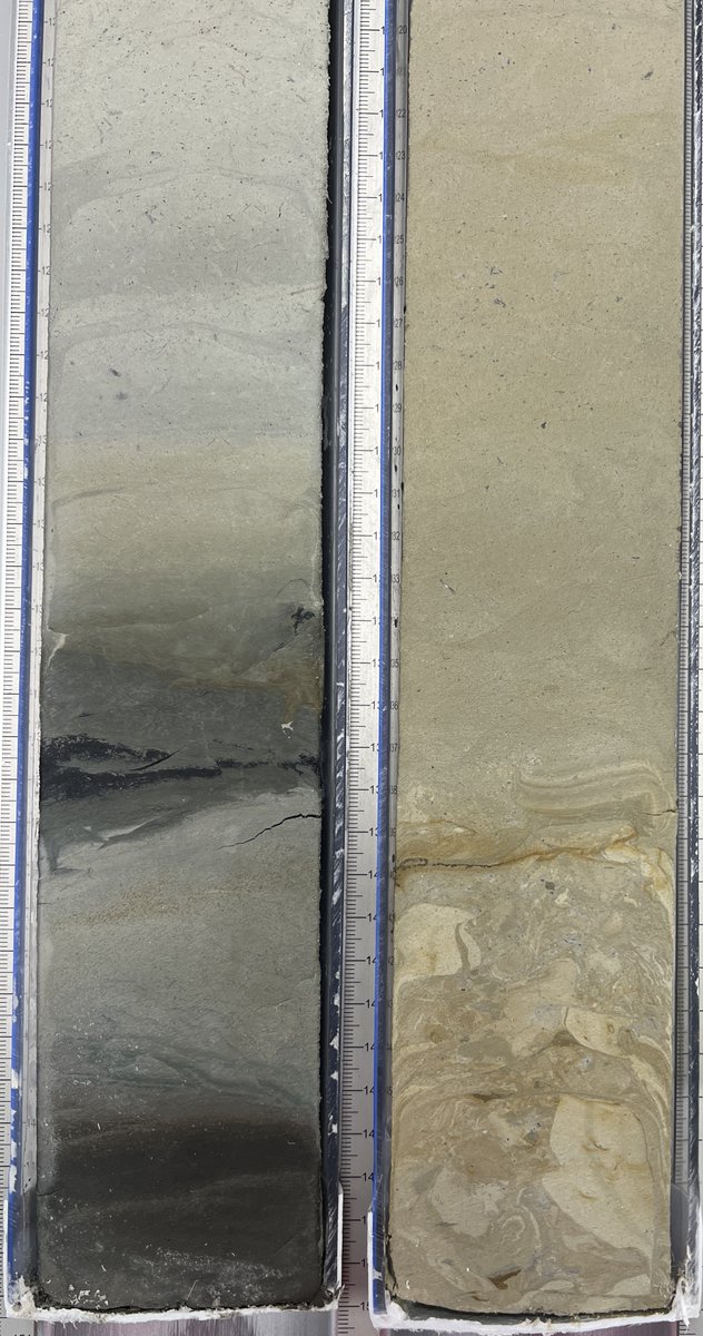 The left core has more organic rich matter, referred to as Sapropel, which is known for its darker #color. The right core encountered a mass transport event, where the #sediment layers were churned up, possibly due to an #underwater landslide. #EXP402 #geosciences #science
