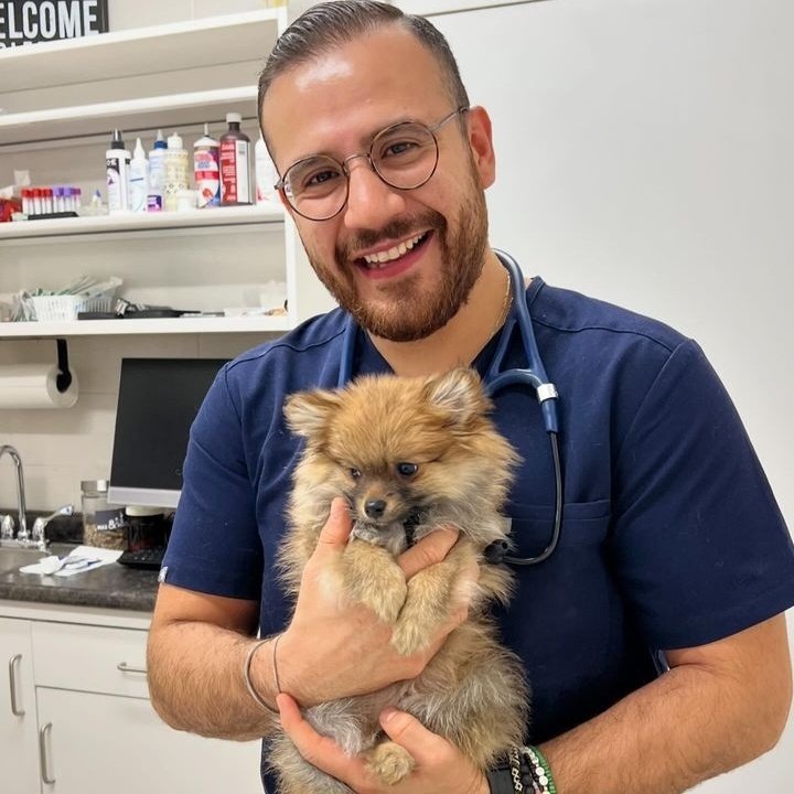 Graphdinner111's tweet image. #NewProfilePic