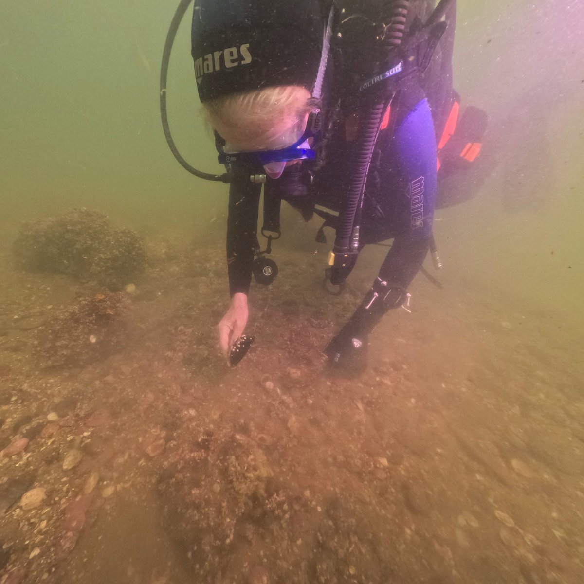 ¡Historia que nos une! 🇬🇧🇺🇾 Expertos de arqueología de @unisouthampton y @Udelaruy estuvieron buceando y filmando los restos del buque HMS Agamemnon, hundido en la bahía de Maldonado en 1809. La embajadora @FayeOConnorFCDO los visitó el martes para conversar sobre el naufragio.