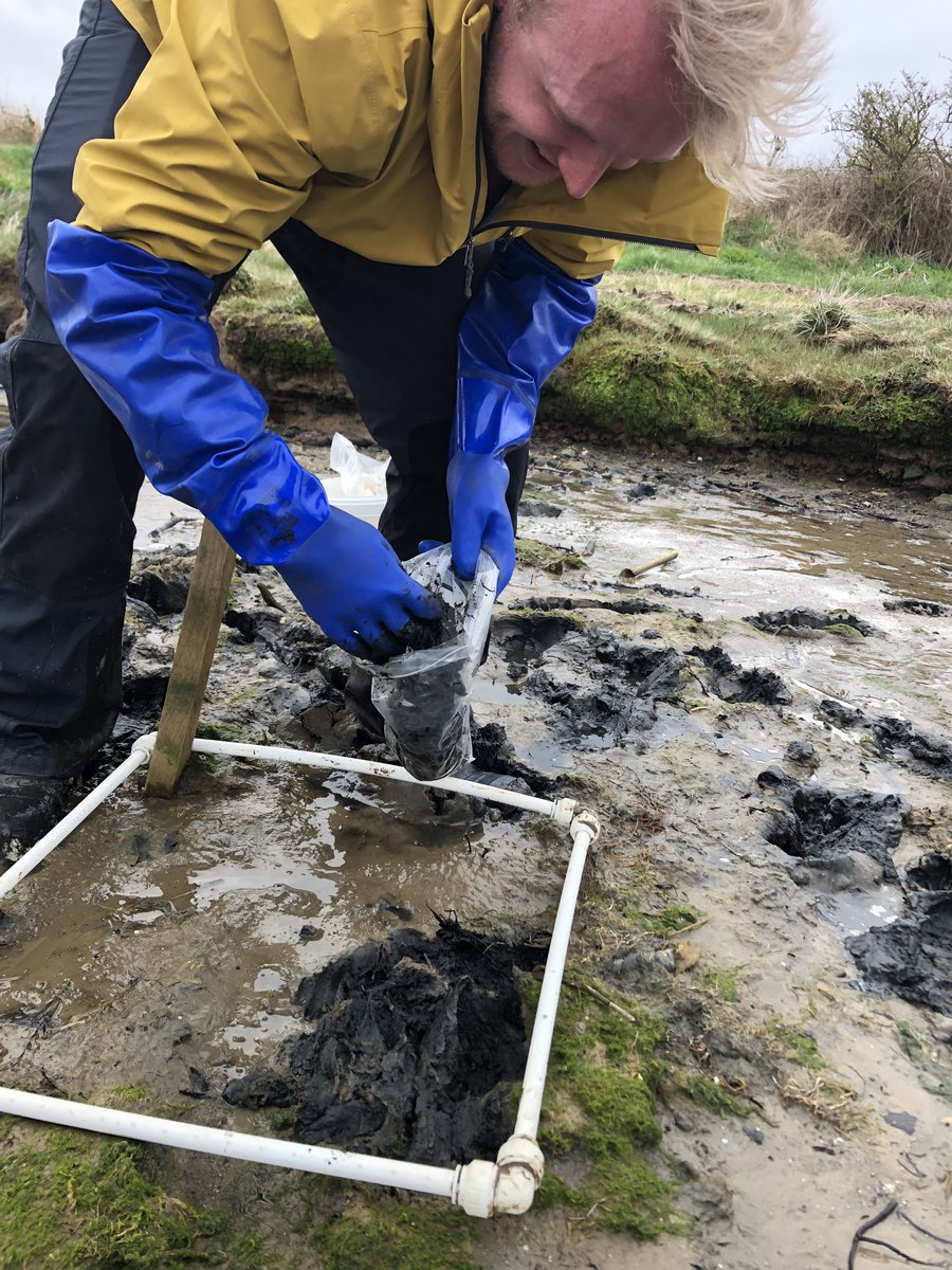 Some new faces and great car games for our April @LifeWader opportunistic #macroalgae monitoring in Budle Bay 🌱🌊🐚 @NCLDoveMarine @LIFEprogramme @newcastlemarine @ecology_ncl @Hes_1 @Charj98 @Pippa_J_Moore @robynmastinwynn @petermalmond