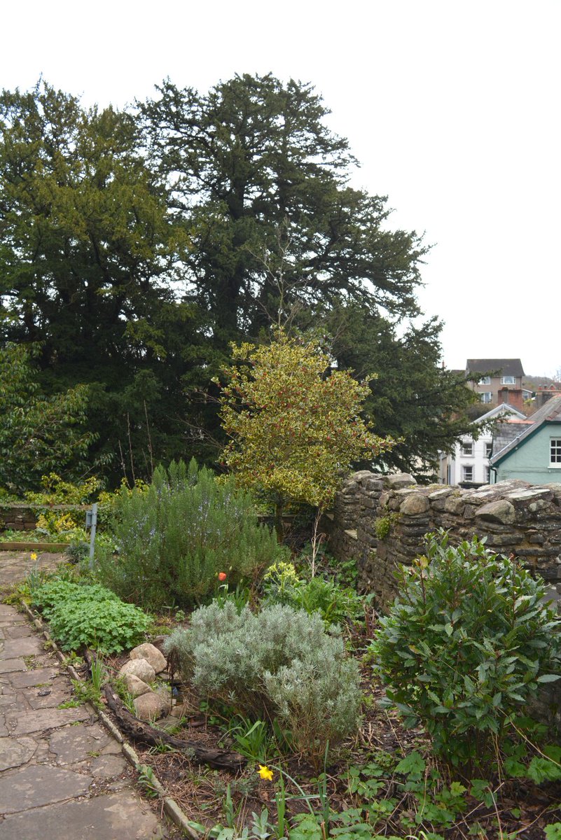 Community Garden Week 🌼🌻🌷 Community gardens play a key role not only improving biodiversity but promoting wellbeing and connection 🌱 This week we’ll be highlighting community gardens from across our park! 📍 Brecon Cathedral @MindCharity #LNP #CommunityGardenWeek