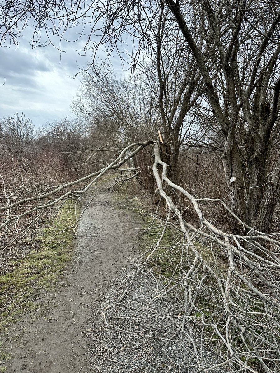 Mary Elaine Leach tweet media