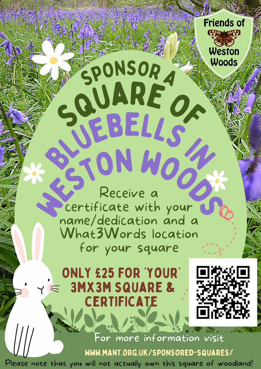 It's almost bluebell time in Weston Woods... why not celebrate by supporting the Friends of Weston Woods with their lovely fundraising idea! #communitywoodland #NatureRecovery