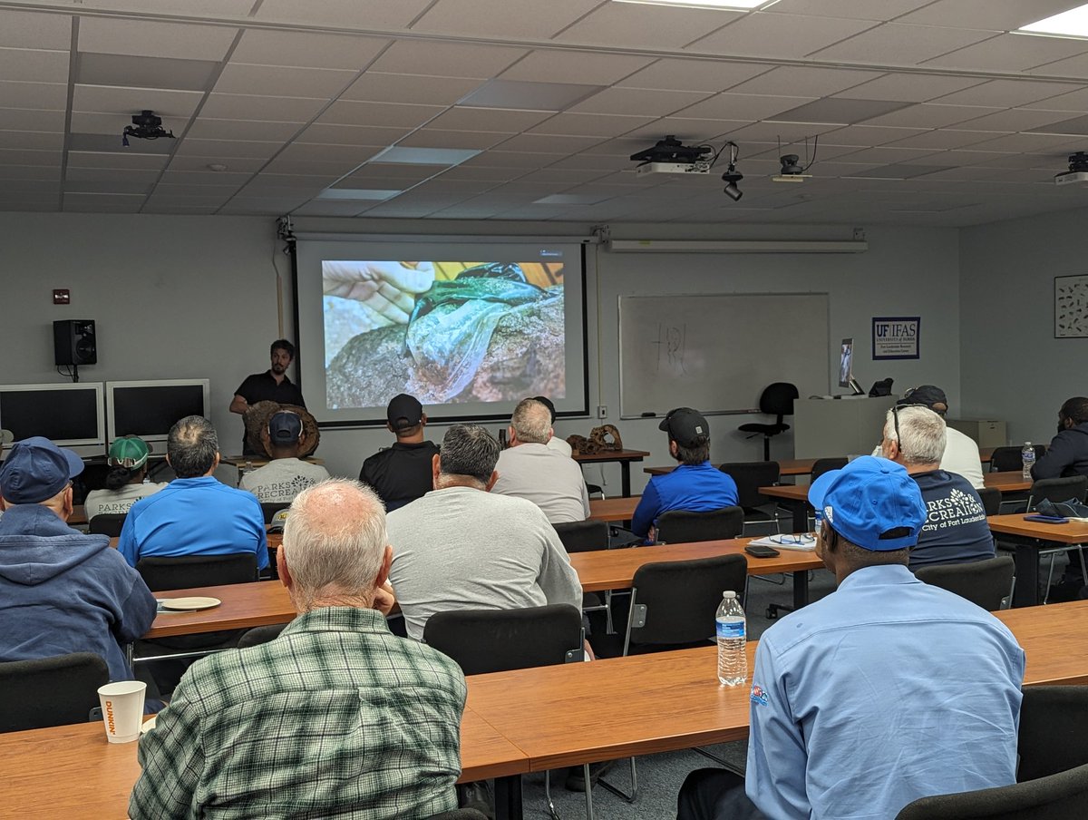 LourdesRodrigM1's tweet photo. A full house @UFIFASftlaudREC today with @FTLCityNews arborists, parks&amp;rec staff to learn about the loss of the city's tree canopy to #subterraneantermites. @ChouvencL shares research, prevention tips to move assist in moving forward and avoid more loss. @UFEntNem @UF_IFAS @nbc6 https://t.co/pSu4iN0JgG