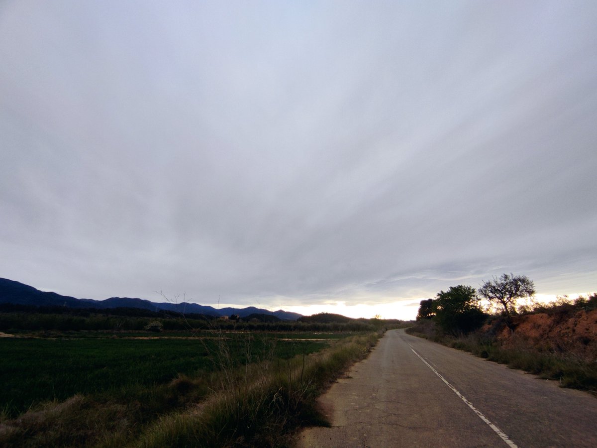 Tot i que l'horari d'estiu no l'aprovo, el moment en què el dia allarga m'omple de vida! 🐞🌾
