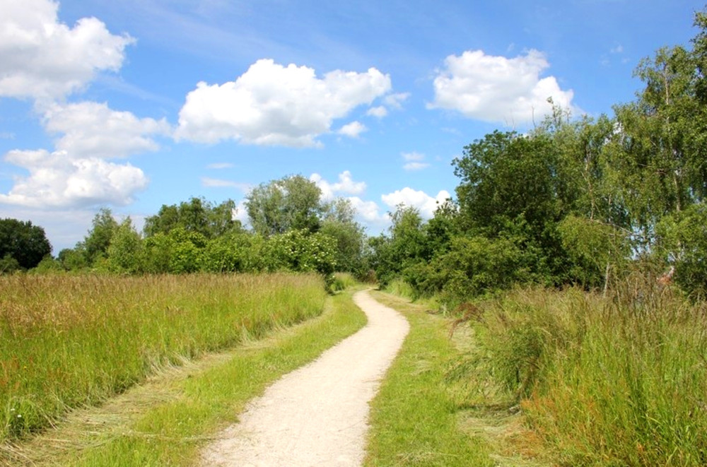 Donderdag 4 april vergadert de gemeenteraad om 19.30 uur. O.a. #Archeologiebeleid🔎 en #Natuurvisie🌳 staan op de agenda. Meer informatie vind je via: bit.ly/3VHjihh