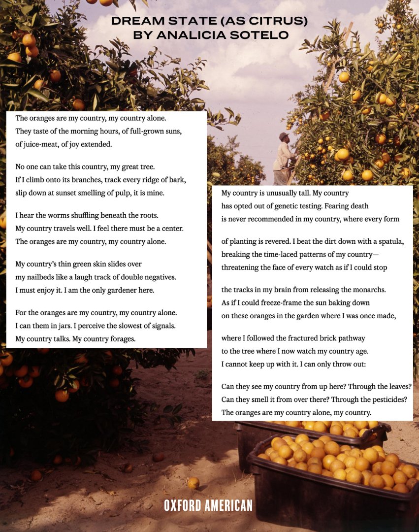 Celebrating #NationalPoetryMonth with @AnaliciaSotelo’s “Dream State (As Citrus).” Start April with a read that resonates. Full triptych from our Southern Art Issue #124 at: oxfordamerican.org/magazine/issue…