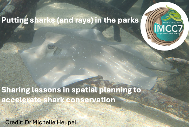 Are you interested in spatial planning to accelerate shark conservation? Do you have a case study or lessons to share? Are you going to @SCBMarine's 7th International Marine Conservation Congress #IMCC7 Join our open symposium led by Dr Amanda Lombard and I. Abstract…