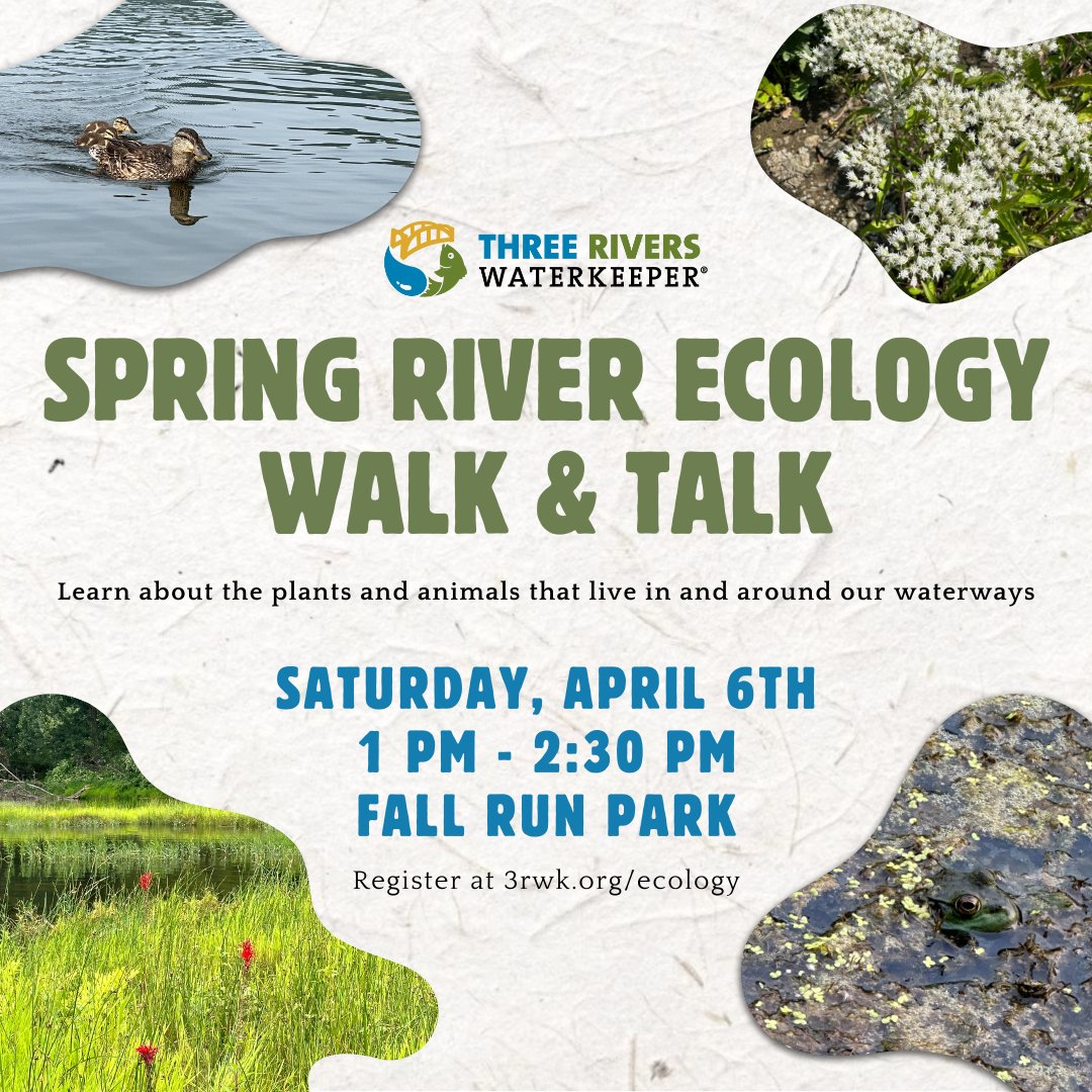 Join us on April 6th for a Spring River Ecology Walk & Talk led by our Environmental Scientist, Koa! You'll learn about some of the plants and animals that live in and around our waterways. Register at 3rwk.org/ecology